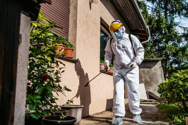 Best Local Pest Control Services  in Olympia Heights, FL