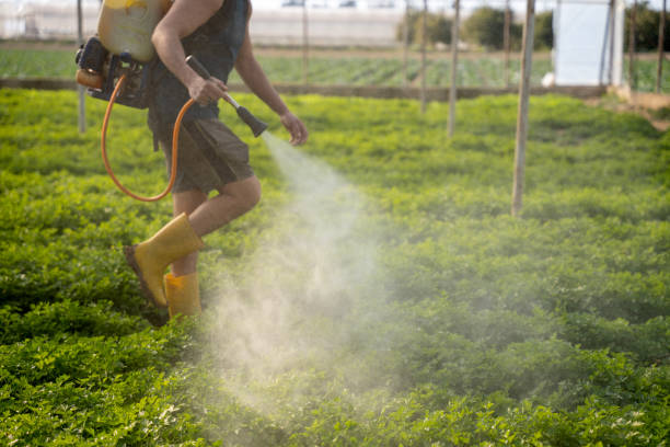 Reliable Olympia Heights, FL Pest Control Solutions