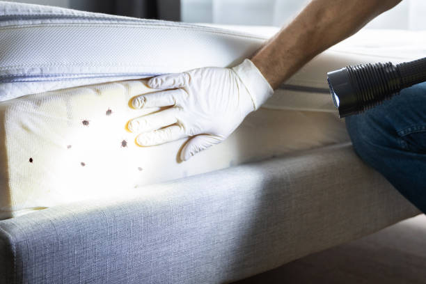 Best Affordable Pest Control Services  in Olympia Heights, FL