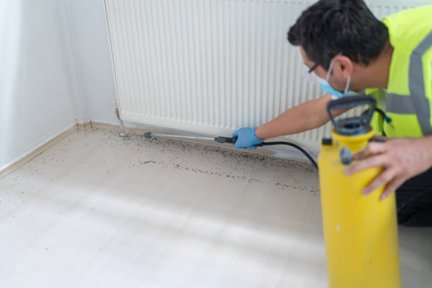 Insect Control in Olympia Heights, FL
